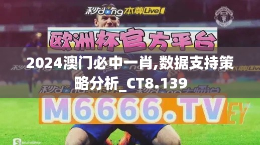 2024澳门必中一肖,数据支持策略分析_CT8.139