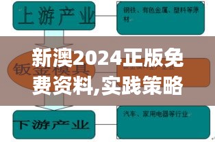 新澳2024正版免费资料,实践策略设计_投资版3.611