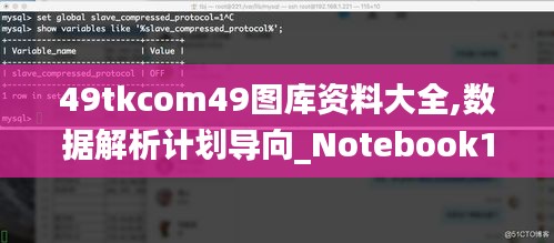 49tkcom49图库资料大全,数据解析计划导向_Notebook1.629