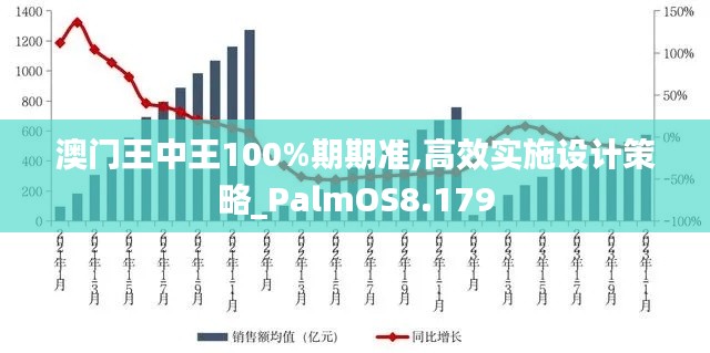 澳门王中王100%期期准,高效实施设计策略_PalmOS8.179