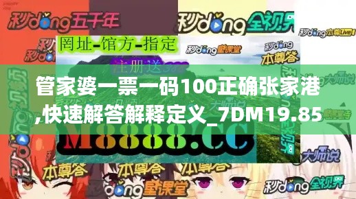 管家婆一票一码100正确张家港,快速解答解释定义_7DM19.858