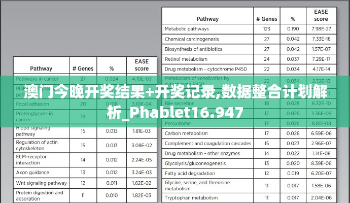 澳门今晚开奖结果+开奖记录,数据整合计划解析_Phablet16.947