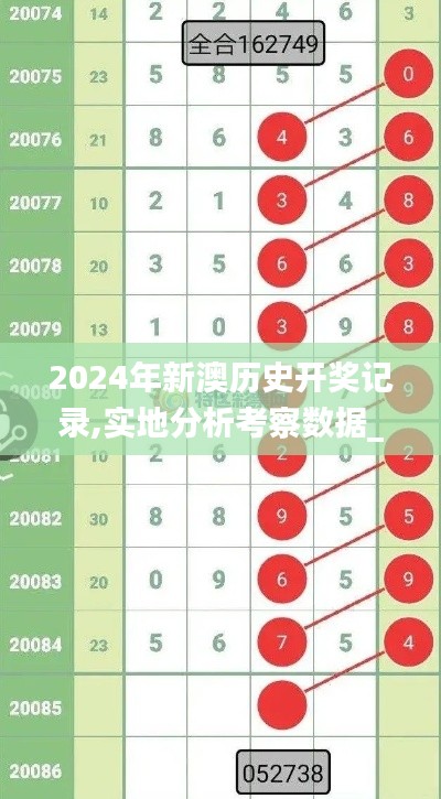 2024年新澳历史开奖记录,实地分析考察数据_移动版9.985