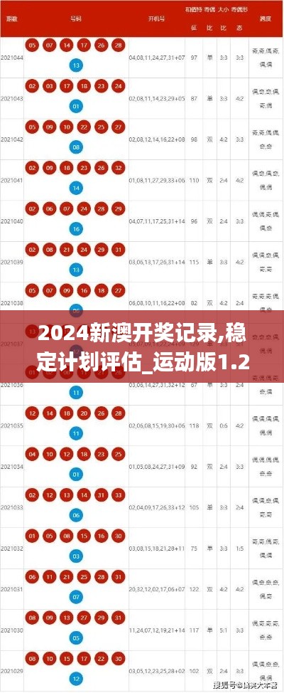 2024新澳开奖记录,稳定计划评估_运动版1.204