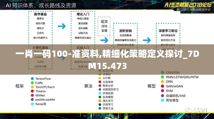 一肖一码100-准资料,精细化策略定义探讨_7DM15.473