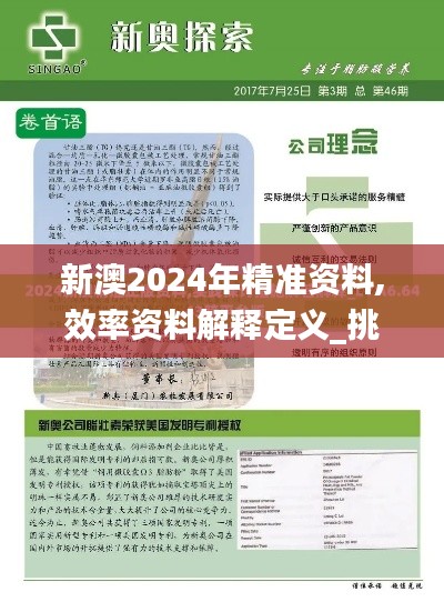 新澳2024年精准资料,效率资料解释定义_挑战款3.664