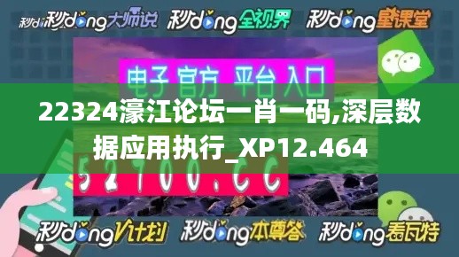 22324濠江论坛一肖一码,深层数据应用执行_XP12.464