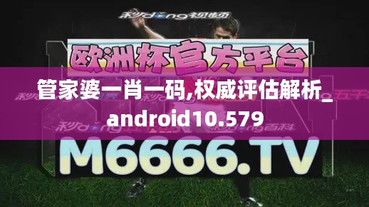 管家婆一肖一码,权威评估解析_android10.579