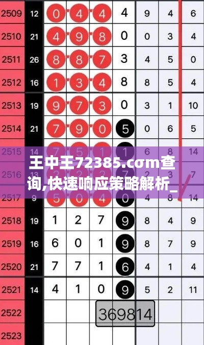 王中王72385.cσm查询,快速响应策略解析_工具版6.230