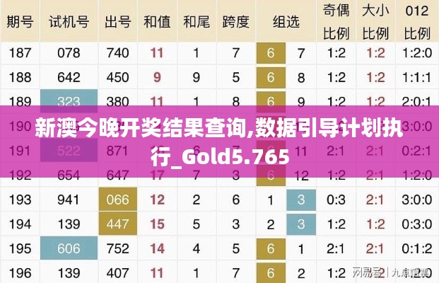 新澳今晚开奖结果查询,数据引导计划执行_Gold5.765