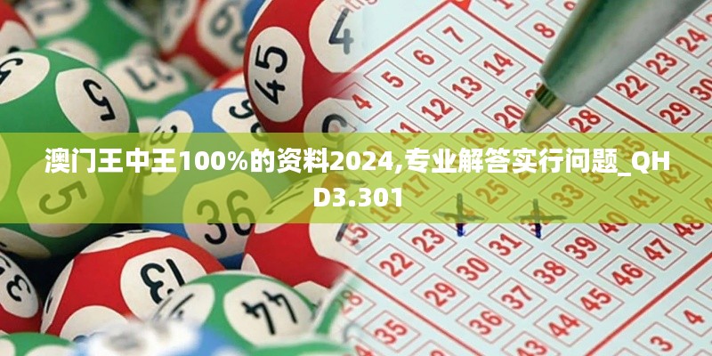 澳门王中王100%的资料2024,专业解答实行问题_QHD3.301