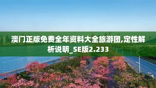 澳门正版免费全年资料大全旅游团,定性解析说明_SE版2.233