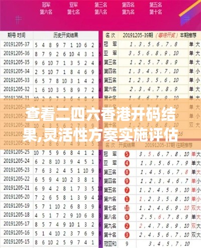 查看二四六香港开码结果,灵活性方案实施评估_3K18.555