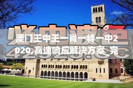 澳门王中王一肖一特一中2020,高速响应解决方案_完整版9.323