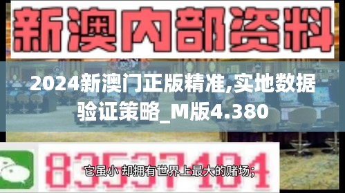 2024新澳门正版精准,实地数据验证策略_M版4.380