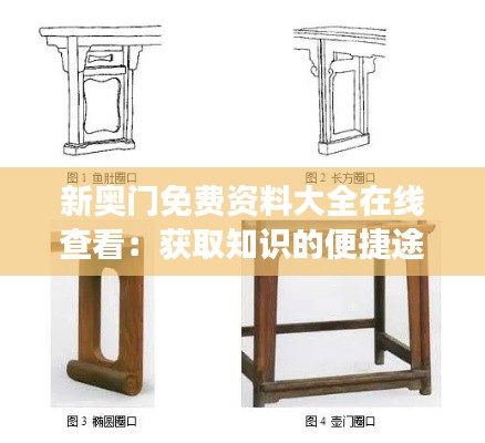 新奥门免费资料大全在线查看：获取知识的便捷途径，让学习更高效