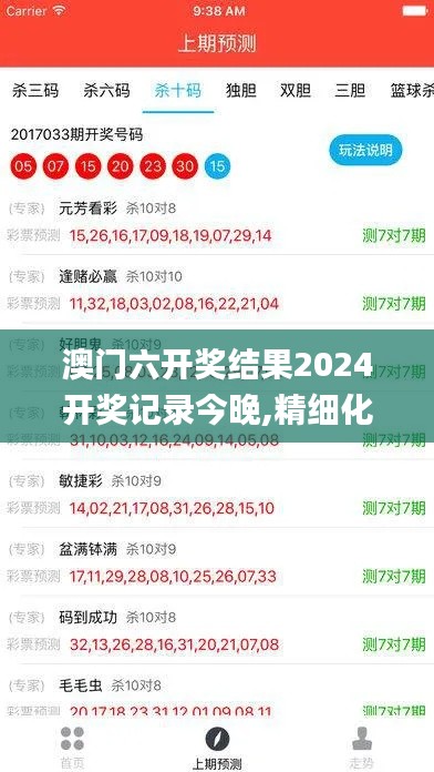 澳门六开奖结果2024开奖记录今晚,精细化分析说明_P版2.395