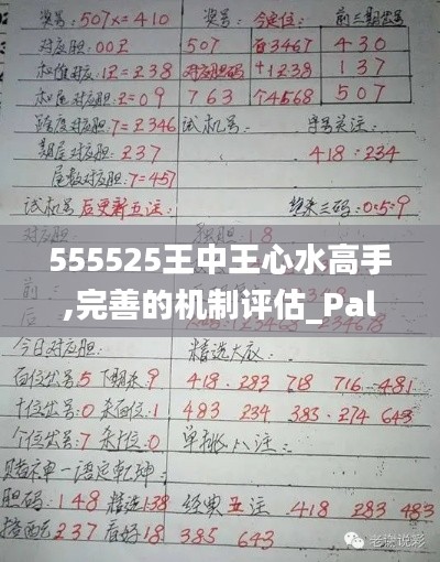 555525王中王心水高手,完善的机制评估_PalmOS16.692