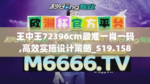 王中王72396cm最准一肖一码,高效实施设计策略_S19.158