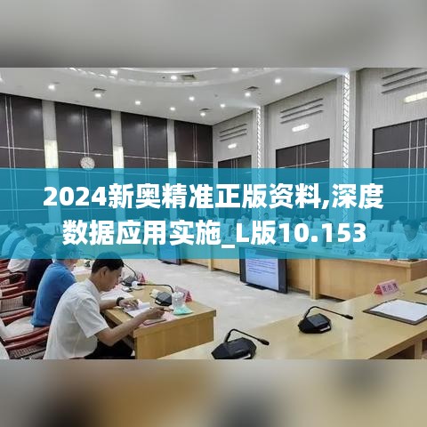 2024新奥精准正版资料,深度数据应用实施_L版10.153