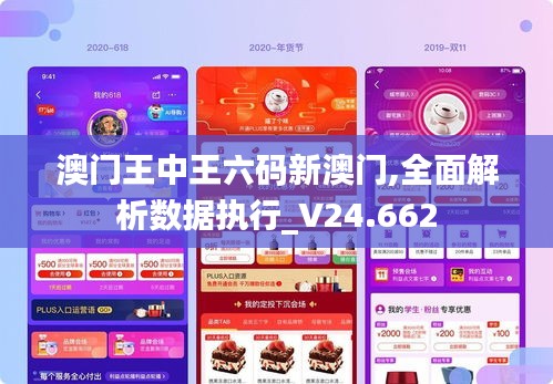 澳门王中王六码新澳门,全面解析数据执行_V24.662