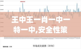 王中王一肖一中一特一中,安全性策略解析_黄金版16.720