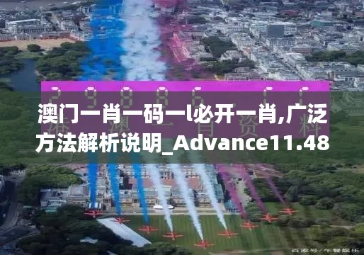 澳门一肖一码一l必开一肖,广泛方法解析说明_Advance11.487