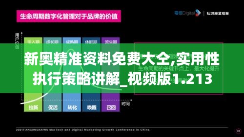 新奥精准资料免费大仝,实用性执行策略讲解_视频版1.213