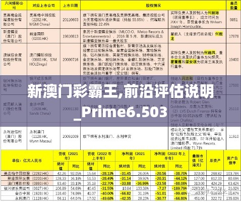 新澳门彩霸王,前沿评估说明_Prime6.503