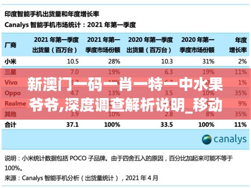 新澳门一码一肖一特一中水果爷爷,深度调查解析说明_移动版15.710