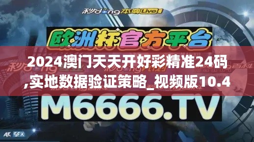 2024澳门天天开好彩精准24码,实地数据验证策略_视频版10.412