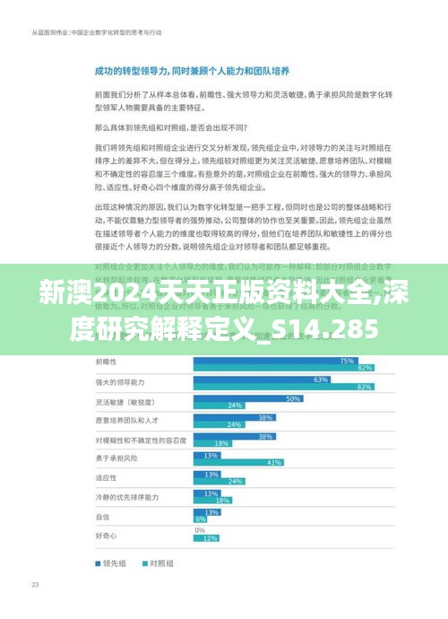 新澳2024天天正版资料大全,深度研究解释定义_S14.285