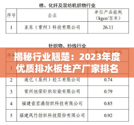 揭秘行业翘楚：2023年度优质排水板生产厂家排名榜单