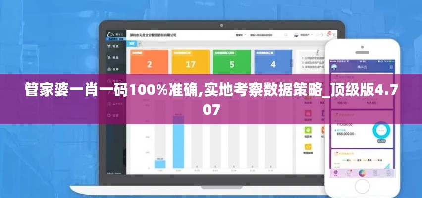 管家婆一肖一码100%准确,实地考察数据策略_顶级版4.707