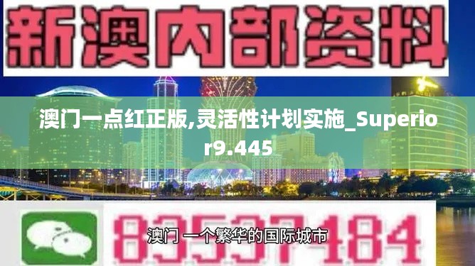 澳门一点红正版,灵活性计划实施_Superior9.445