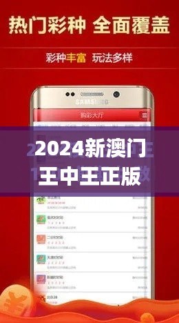 2024新澳门王中王正版,高效计划设计实施_潮流版3.452