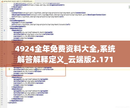 4924全年免费资料大全,系统解答解释定义_云端版2.171