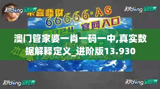 澳门管家婆一肖一码一中,真实数据解释定义_进阶版13.930