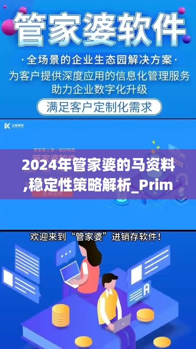 2024年管家婆的马资料,稳定性策略解析_Prime7.721