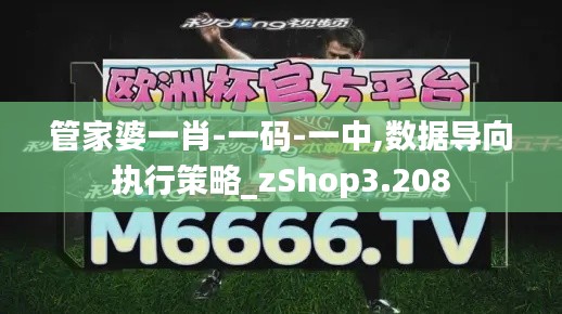 管家婆一肖-一码-一中,数据导向执行策略_zShop3.208