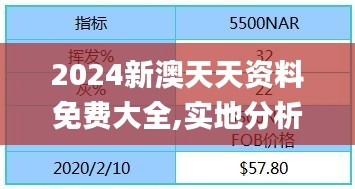 2024新澳天天资料免费大全,实地分析验证数据_AR8.460