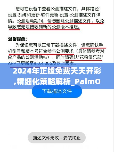 2024年正版免费天天开彩,精细化策略解析_PalmOS2.411