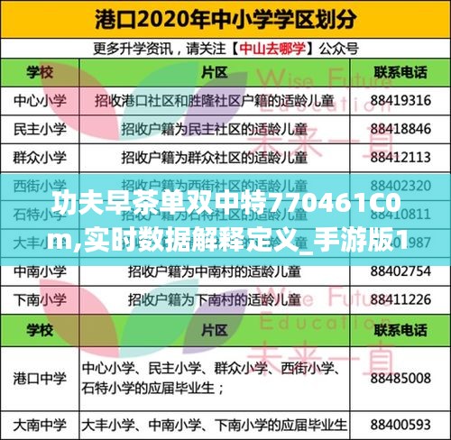 功夫早茶单双中特770461C0m,实时数据解释定义_手游版16.116