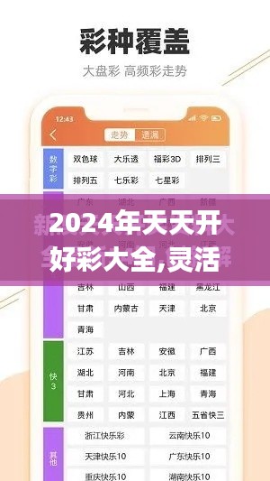 2024年天天开好彩大全,灵活性计划实施_创意版18.572