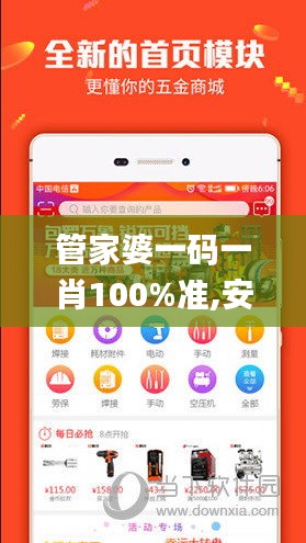 管家婆一码一肖100%准,安全解析策略_VE版2.535