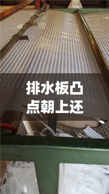 排水板凸点朝上还是朝下：揭秘排水板安装的正确姿势