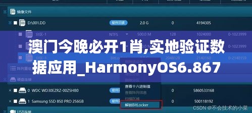 澳门今晚必开1肖,实地验证数据应用_HarmonyOS6.867