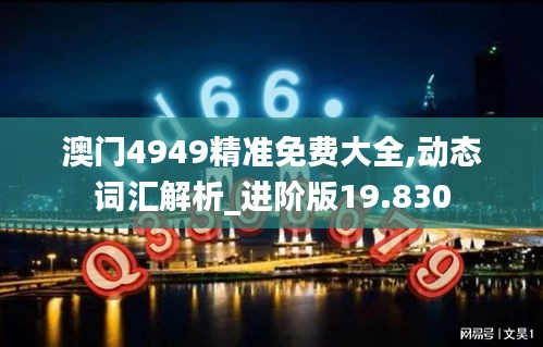 澳门4949精准免费大全,动态词汇解析_进阶版19.830