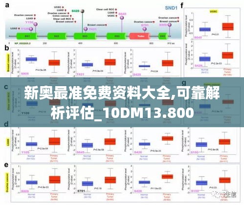 新奥最准免费资料大全,可靠解析评估_10DM13.800