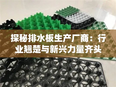 探秘排水板生产厂商：行业翘楚与新兴力量齐头并进